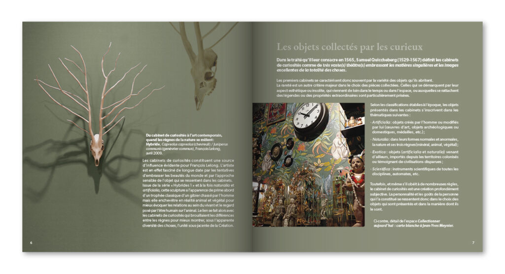 Catalogue de l'exposition Curiosité(s) du Musée Labenche - extrait 2