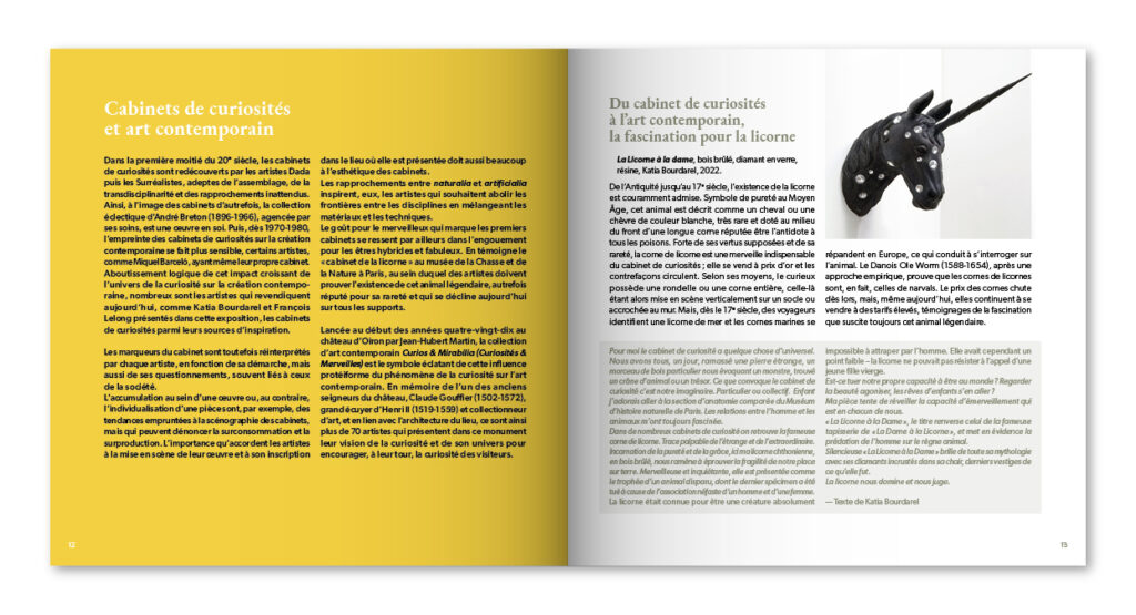 Catalogue de l'exposition Curiosité(s) du Musée Labenche - extrait 4